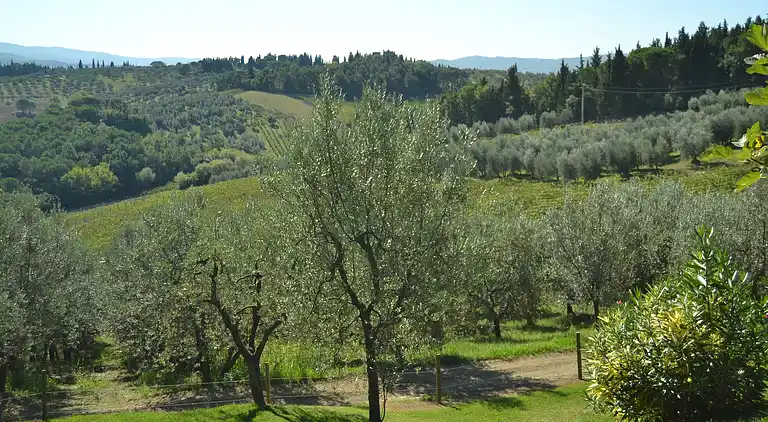 Feriebolig i Impruneta