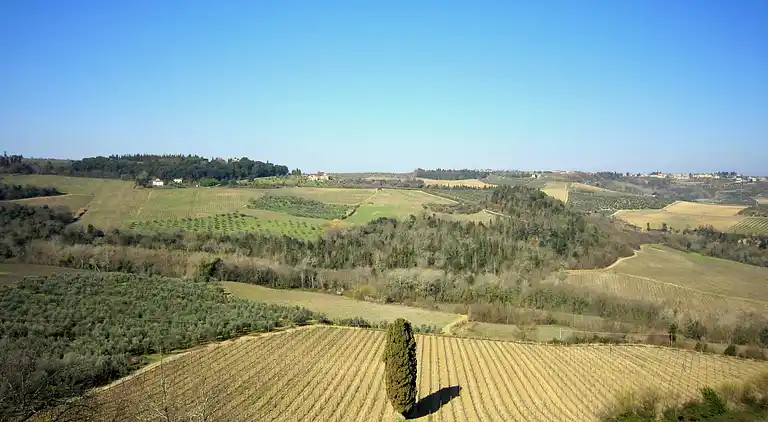 Feriebolig i San Casciano in Val di Pesa