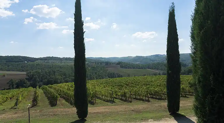 Hytte i Barberino Tavarnelle