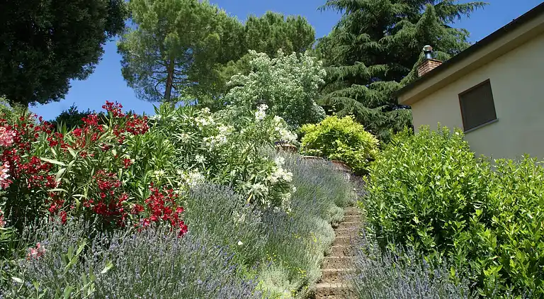 Feriebolig i Magliano