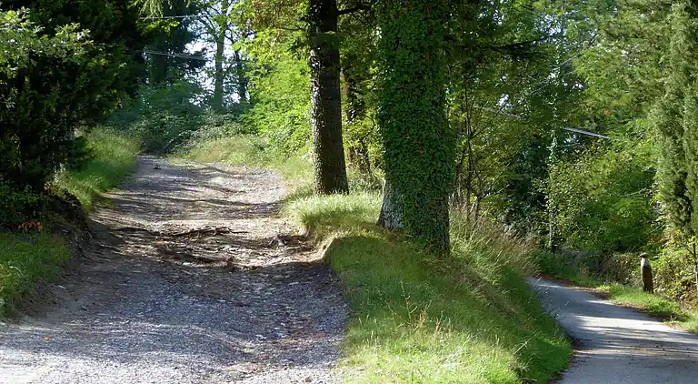 Semesterbostad i Montecarelli