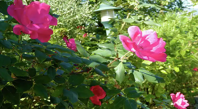 Feriebolig i Montecarelli