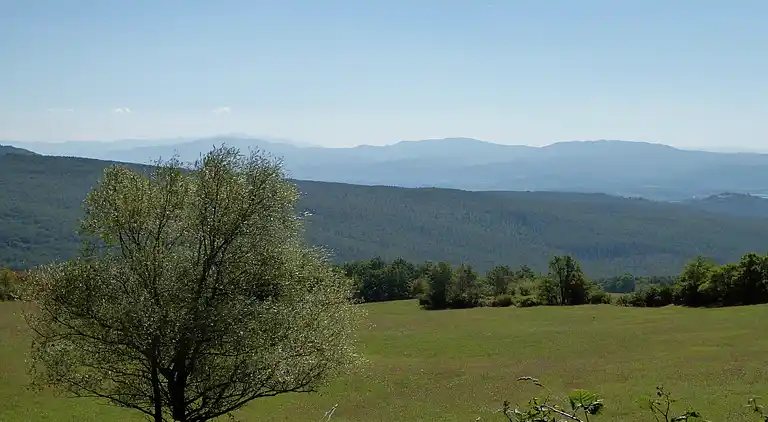 Ferienhaus in Montecarelli