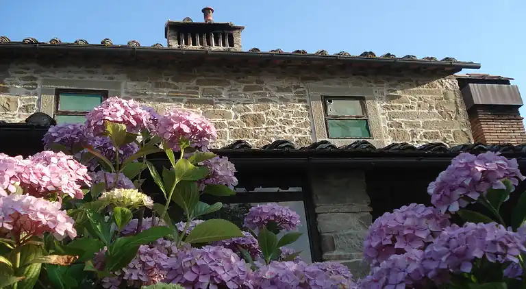 Feriebolig i Borgo San Lorenzo