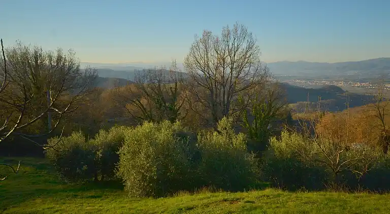 Feriebolig i Borgo San Lorenzo