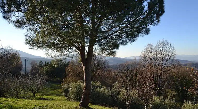 Feriebolig i Borgo San Lorenzo