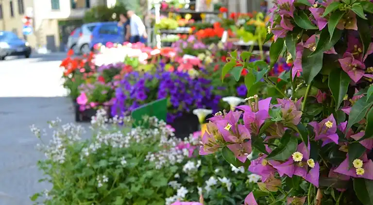 Holiday home in Marradi