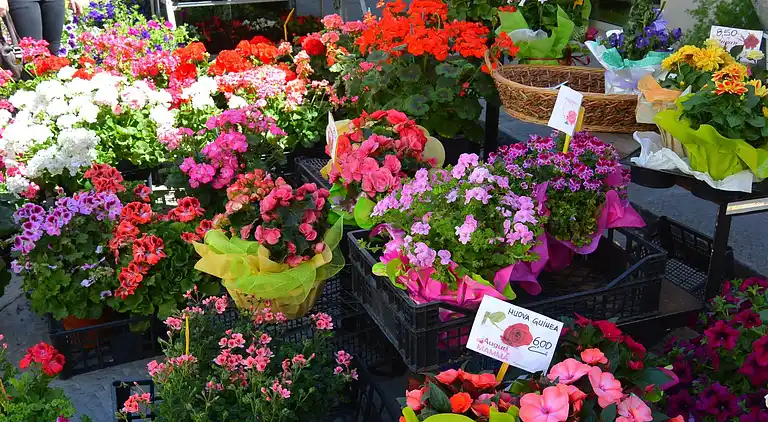 Holiday home in Marradi