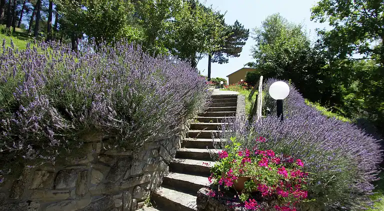 Holiday home in Palazzuolo sul Senio