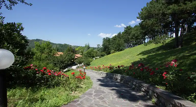 Holiday home in Palazzuolo sul Senio