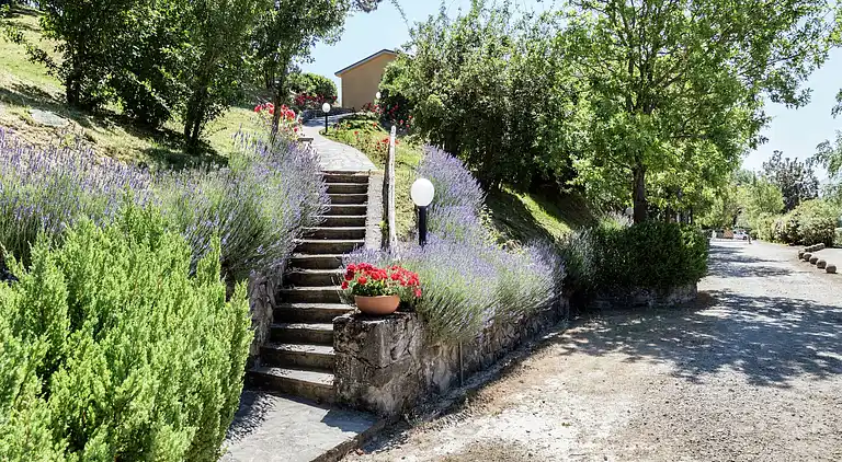 Holiday home in Palazzuolo sul Senio