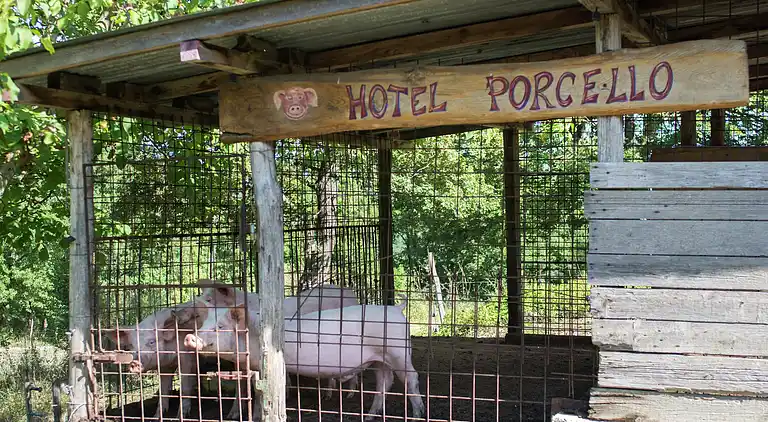 Feriebolig i Vicchio