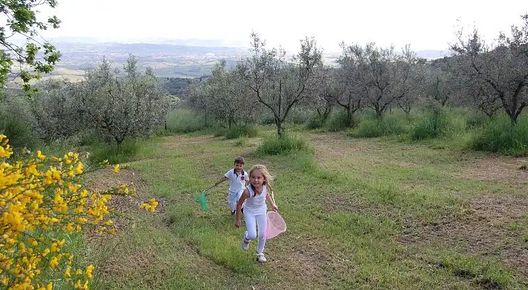 Campingvogn i Capraia e Limite