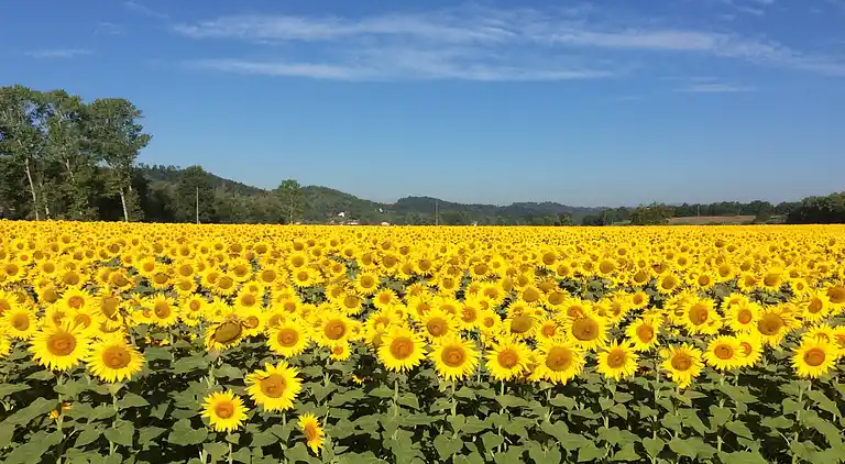 Holiday home in Badia a Cerreto