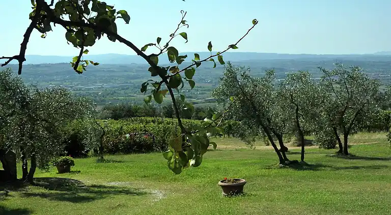 Ferienhaus in Capraia e Limite
