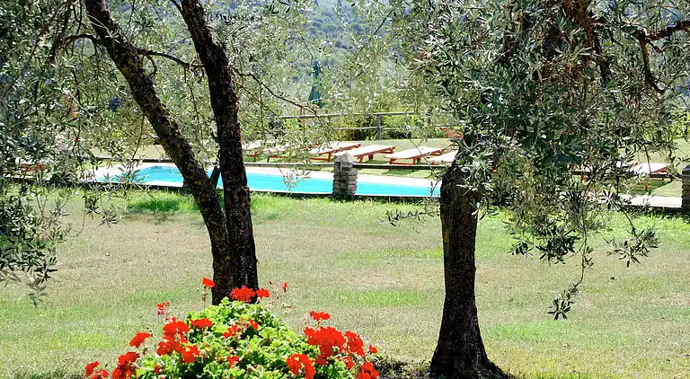 Ferienhaus in Capraia e Limite