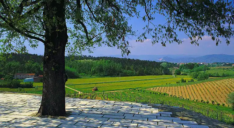 Holiday home in Cerreto Guidi