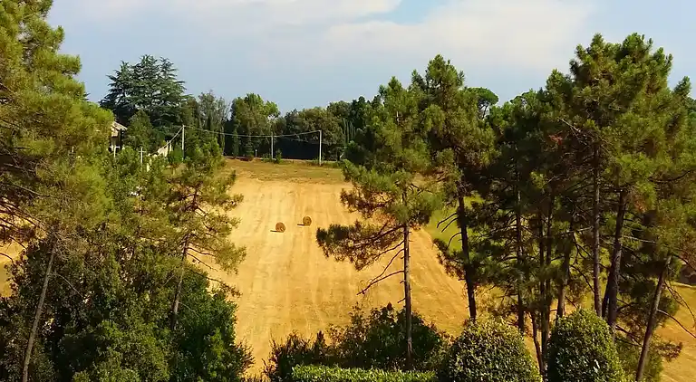 Vakantiehuis in Gambassi Terme