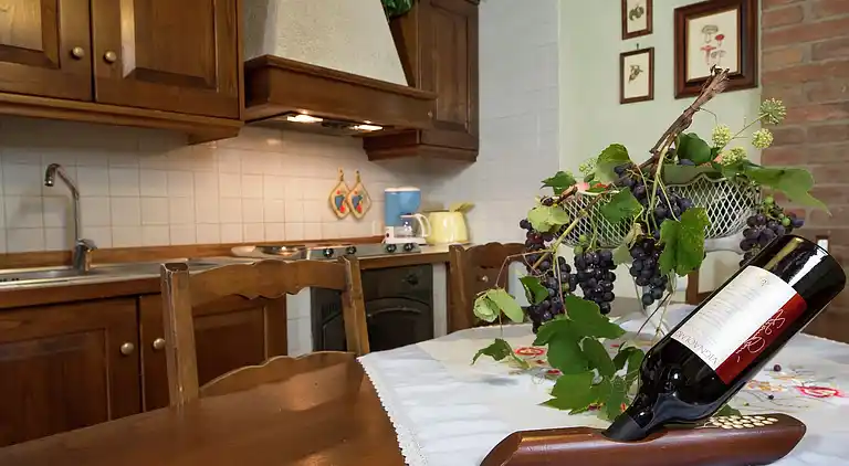 Farm house in San Vivaldo