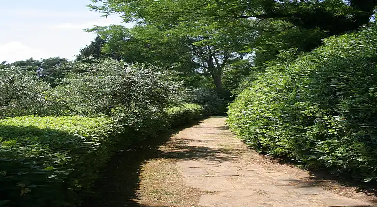 Farm house in San Vivaldo