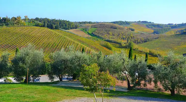 Holiday home in Cerreto Guidi