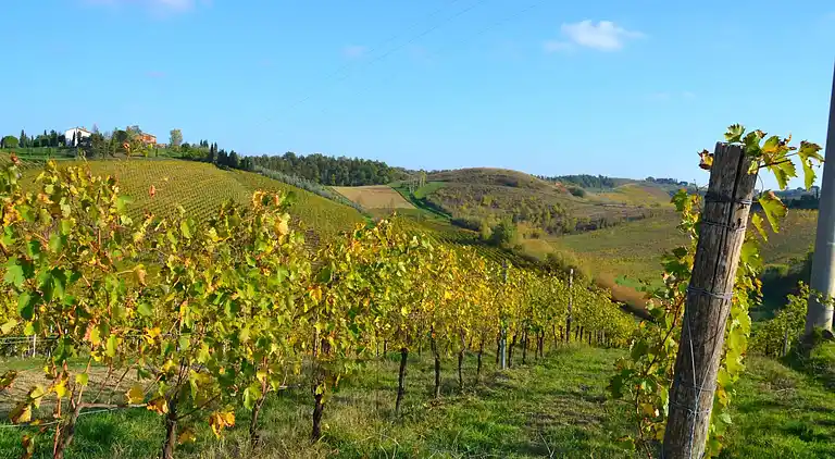 Holiday home in Cerreto Guidi