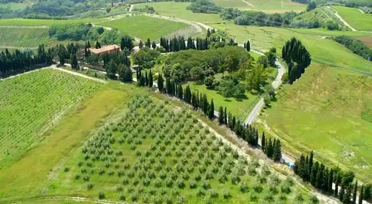 Holiday home in Montaione