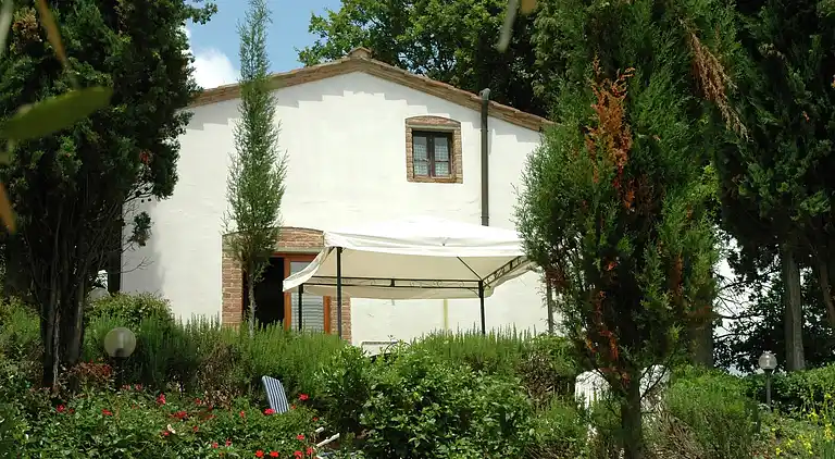 Farm house in San Vivaldo
