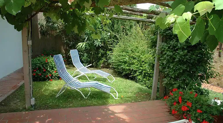 Farm house in San Vivaldo