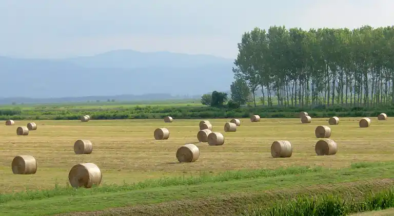 Holiday home in Massarella