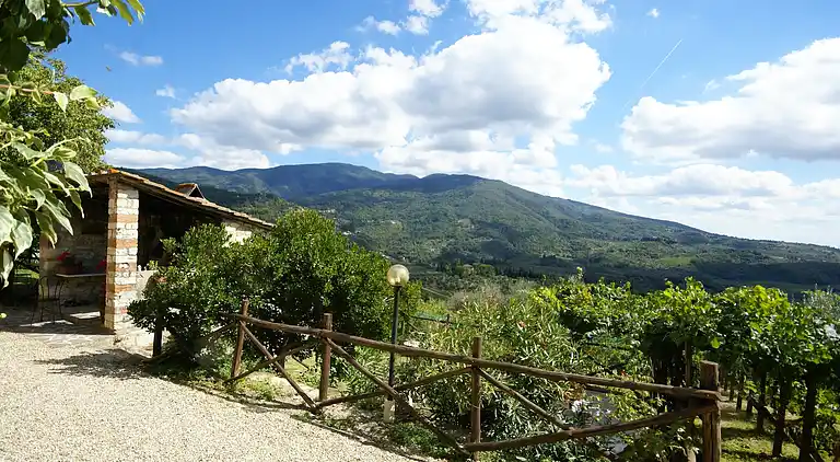 Holiday home in Pelago