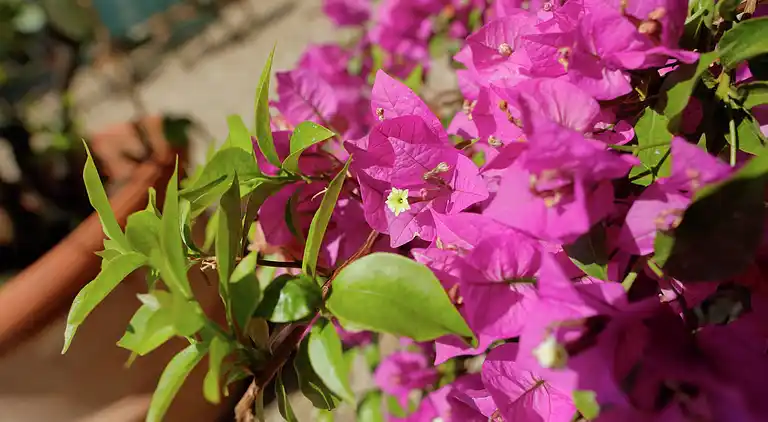 Holiday home in Reggello