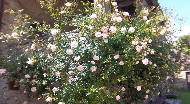 Casa vacanze in Il Castagno D'Andrea