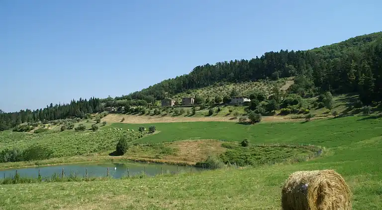 Gårdshus i Dicomano