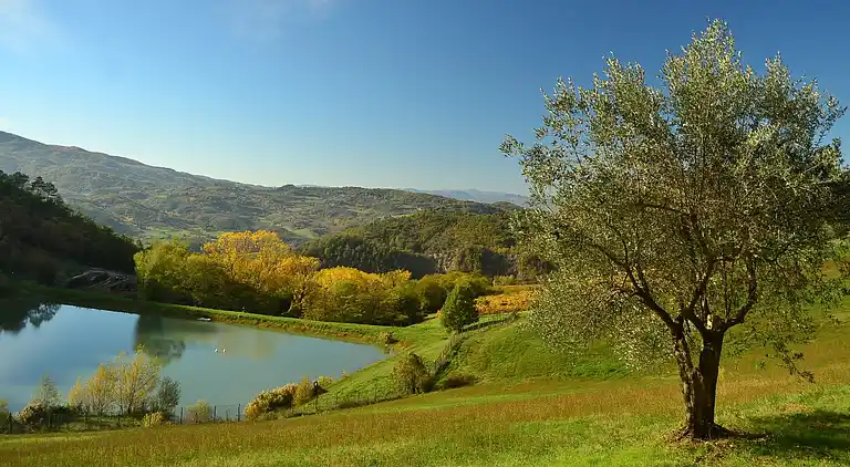 Casa rural en Dicomano
