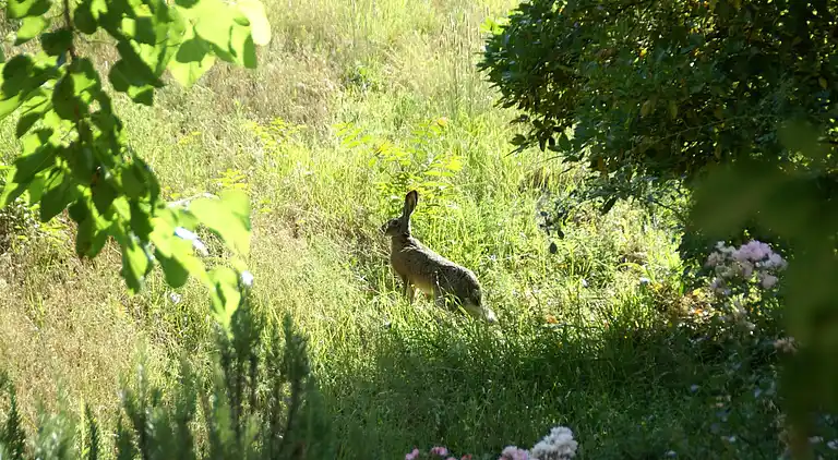 Casa rural en Dicomano