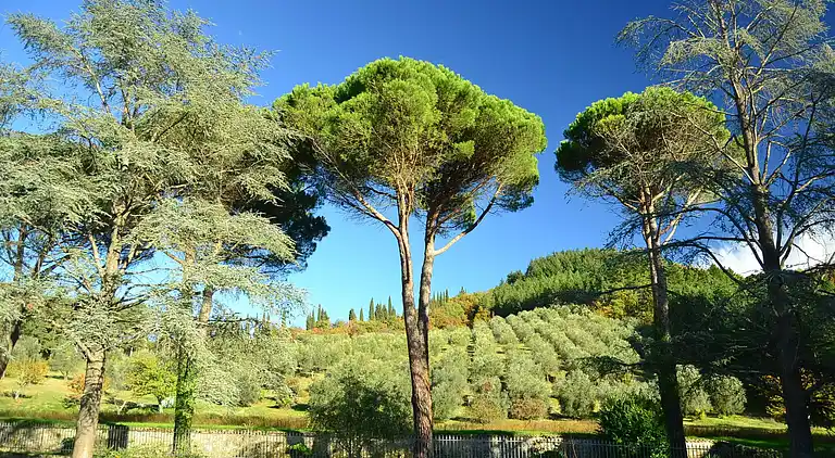 Feriebolig i Dicomano