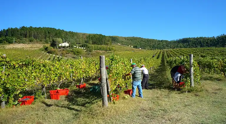Feriebolig i Dicomano