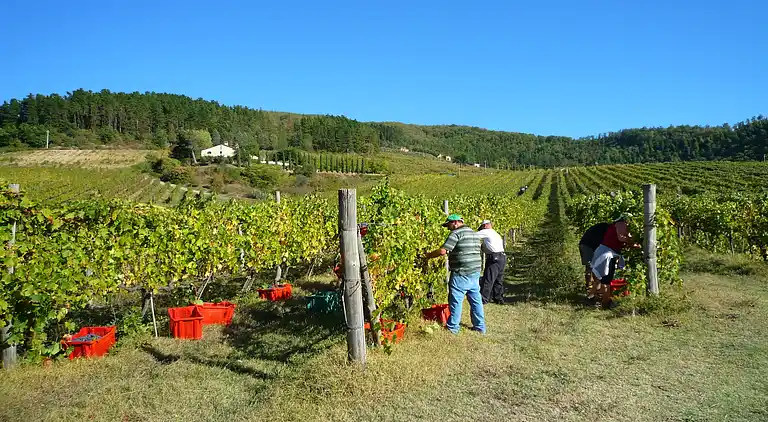 Feriebolig i Dicomano