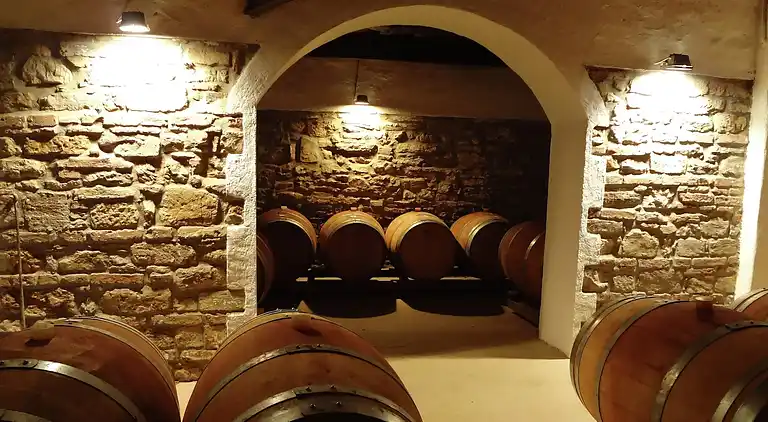 Feriebolig i Dicomano