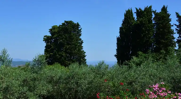 Apartment in Figline e Incisa Valdarno