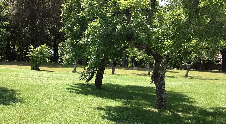 Farm house in Reggello