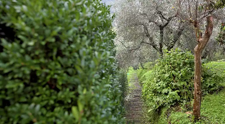 Sommerhus i San Quirico