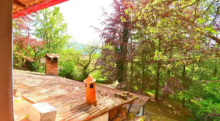 Vakantiehuis in Migliorini