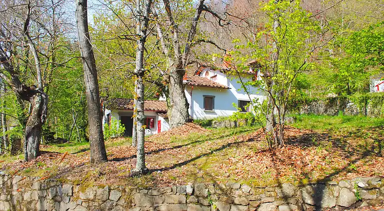 Vakantiehuis in Migliorini