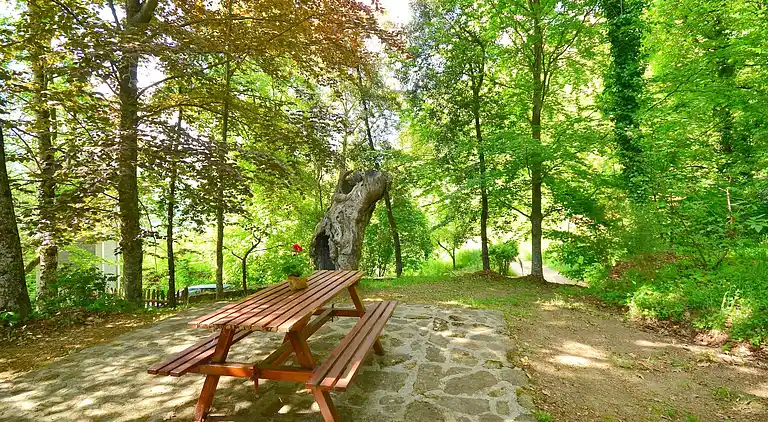 Vakantiehuis in Migliorini