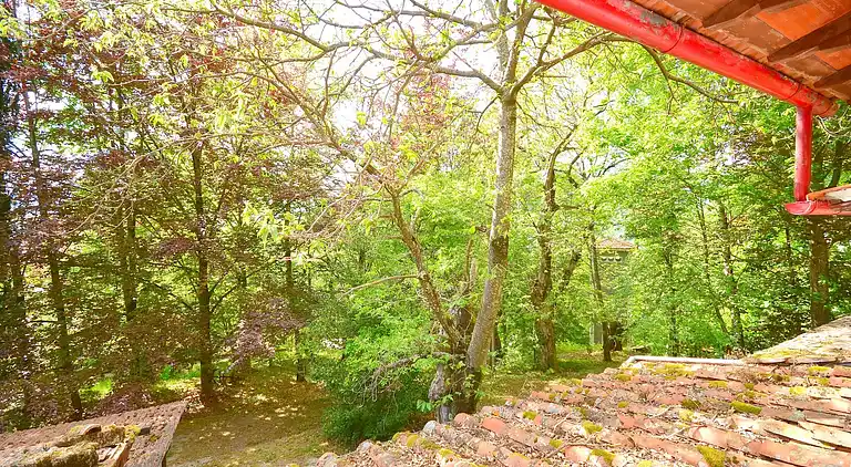 Vakantiehuis in Migliorini