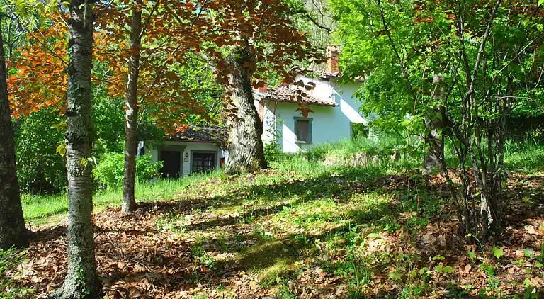 Feriebolig i Migliorini