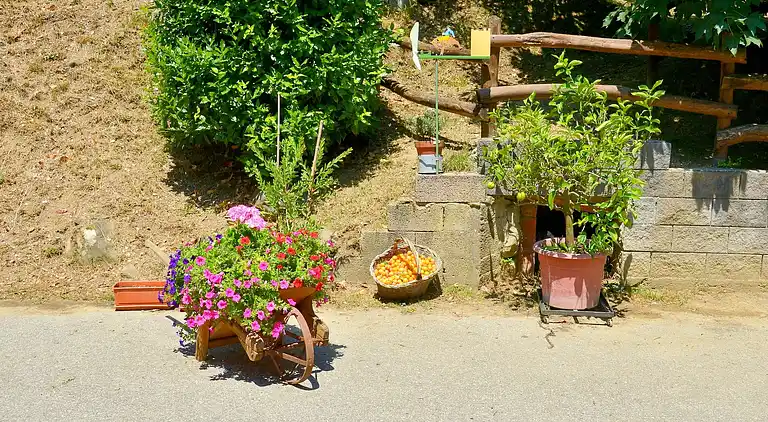 Vakantiehuis in San Marcello Piteglio