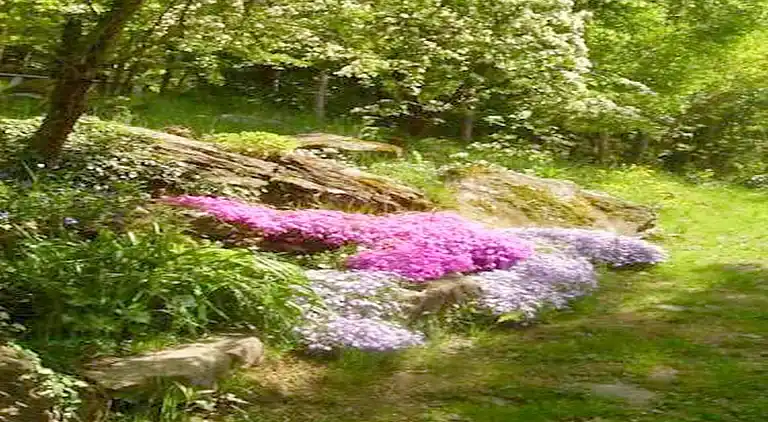 Holiday home in San Marcello Piteglio